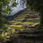 1-ozzie travel-CaminoInca-236