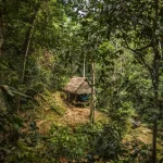 14_Inspiration_Amazon_Galeria_02