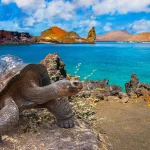 galapagos-islands-ecuador-1
