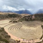 moray